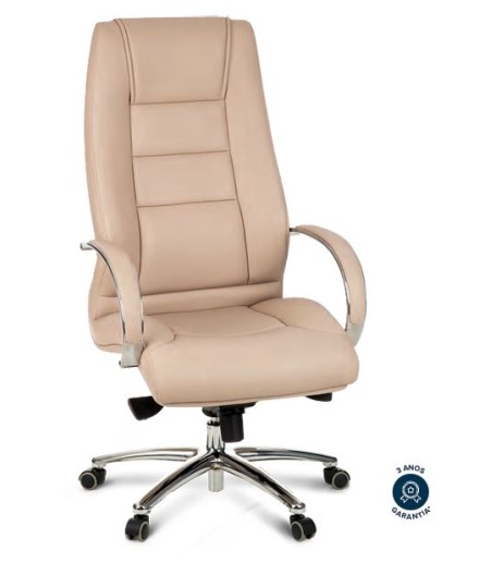 Cadeira Presidente BLM 2311 P - Blume Office
