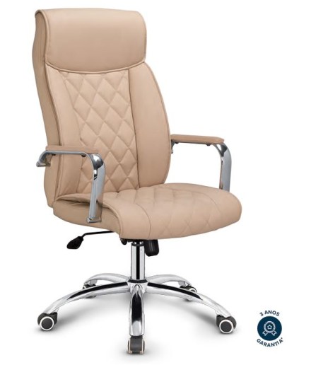 Cadeira Blume Presidente BLM 720 P Base Cromada