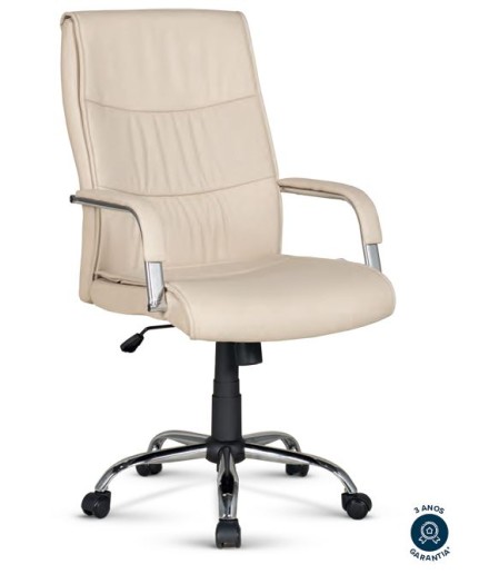 Cadeira Presidente BLM 107 P - Girocenter Import